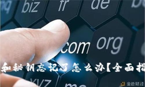 tpWallet私钥和秘钥忘记了怎么办？全面指南与解决方案